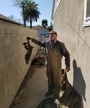 Dead Animal Removal