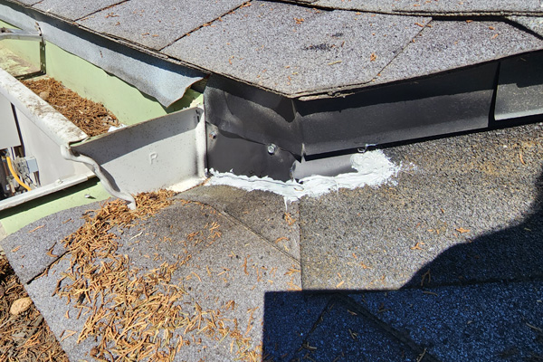 RODENT CONTROL 1